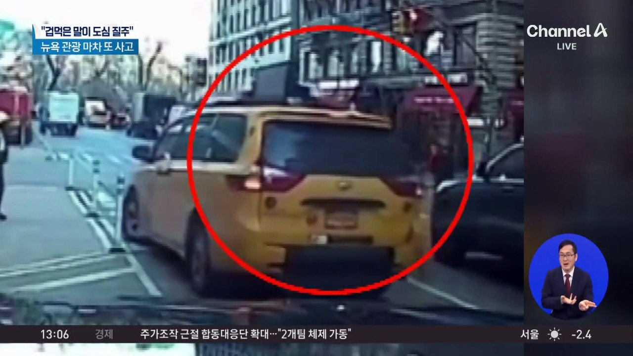 “겁먹은 말이 도심 질주”…뉴욕 관광 마차 또 사고