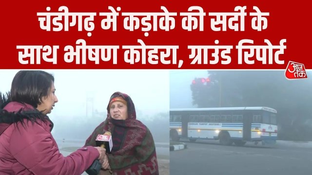 चंडीगढ़ में कड़ाके की सर्दी के साथ छाया घना कोहरा, देखिए ग्राउंड रिपोर्ट