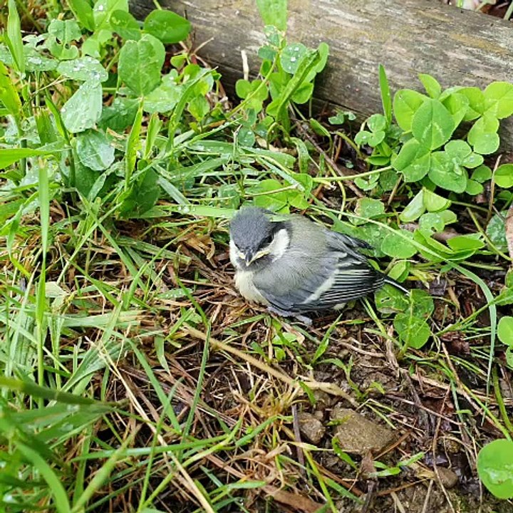 Un moment rare et rempli d’émotion…