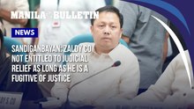 Sandiganbayan: Zaldy Co not entitled to judicial relief as long as he is a fugitive of justice | Newsbreak