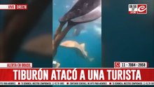 Tremendo video: turista filmó el momento exacto en el que fue atacada por un tiburón