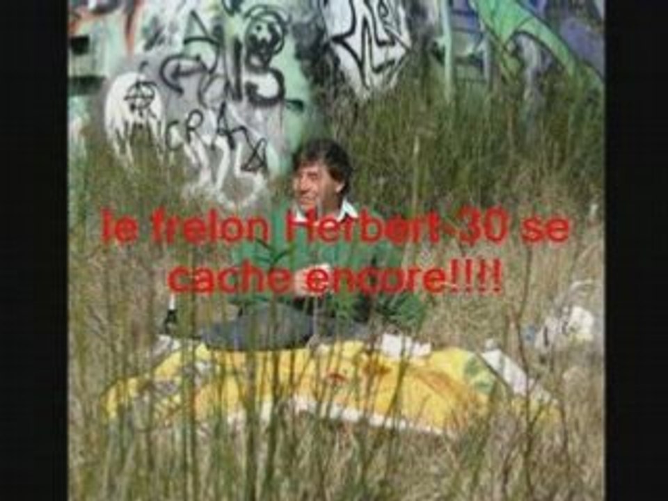 nectar-d'abeille