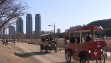 [울산] 전기 마차 타고 공원 산책...'울산 마차' 3월 운영 / YTN