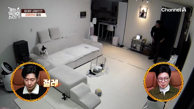 강형욱 vs 동대문 급발진견, 보호자 없이 둘이 남은 상황?!