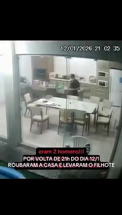 Cachorro é levado por criminosos durante assalto à casa de praia na Grande Florianópolis