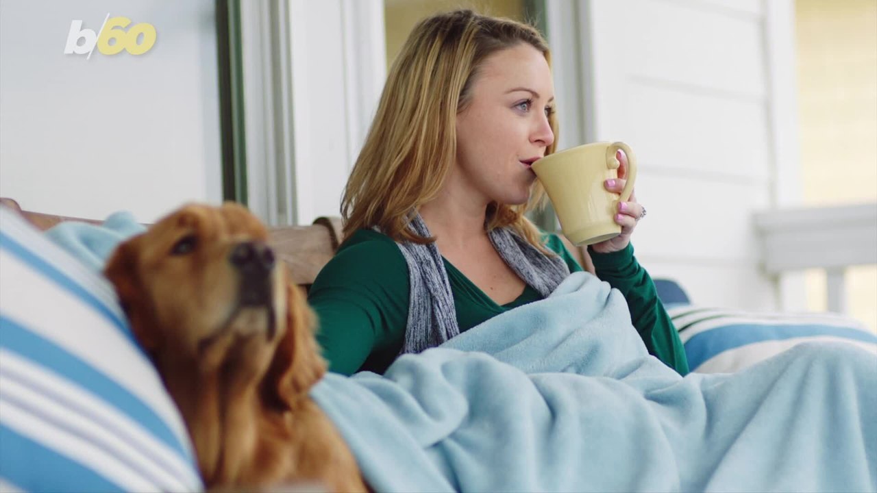 Pet-Safe Cleaning Products You Can Use Around Your Home