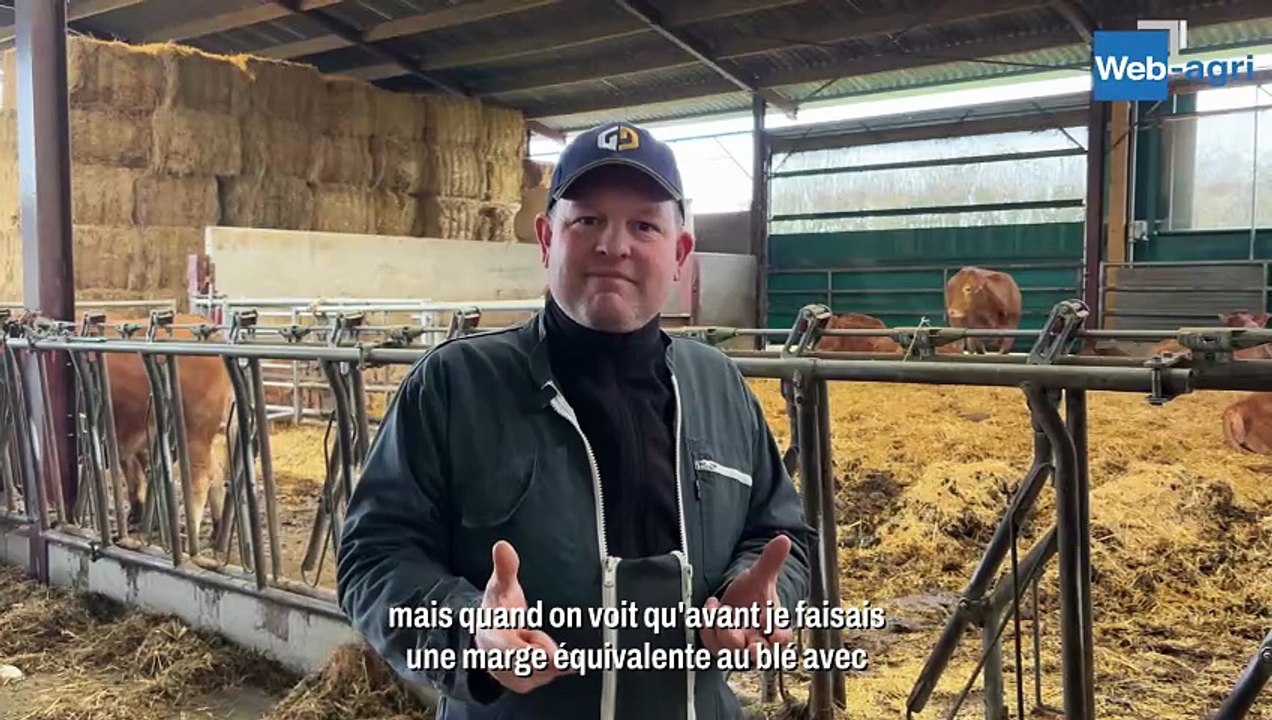 "Un petit peu plus de vaches à viande, et un peu moins de lait" Emmanuel Pouleur ajuste son cheptel à la conjoncture