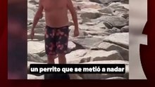 Guardavidas recataron a una perra que era arrastrada por la corriente del mar, el animal se quedó junto a quienes la salvaron.