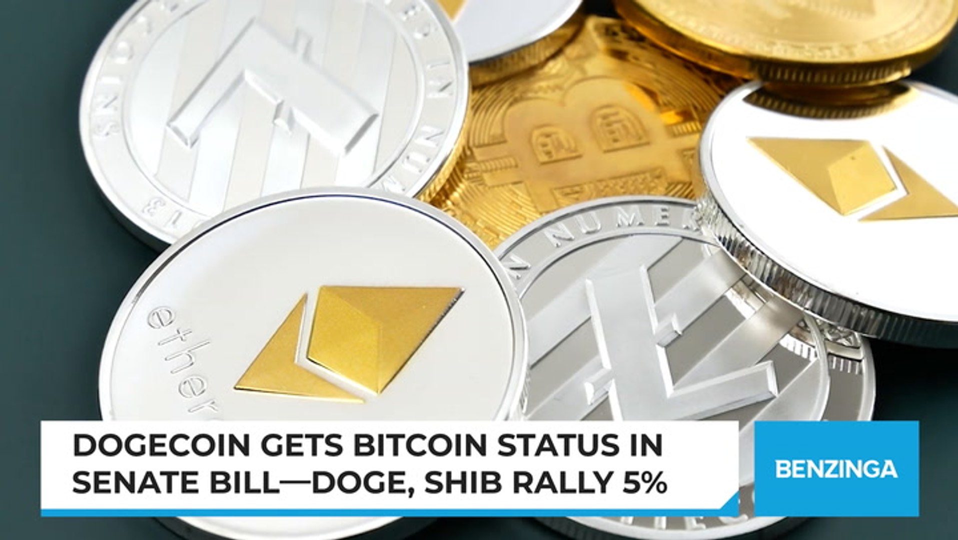 DOGE Rallies On Senate Bill