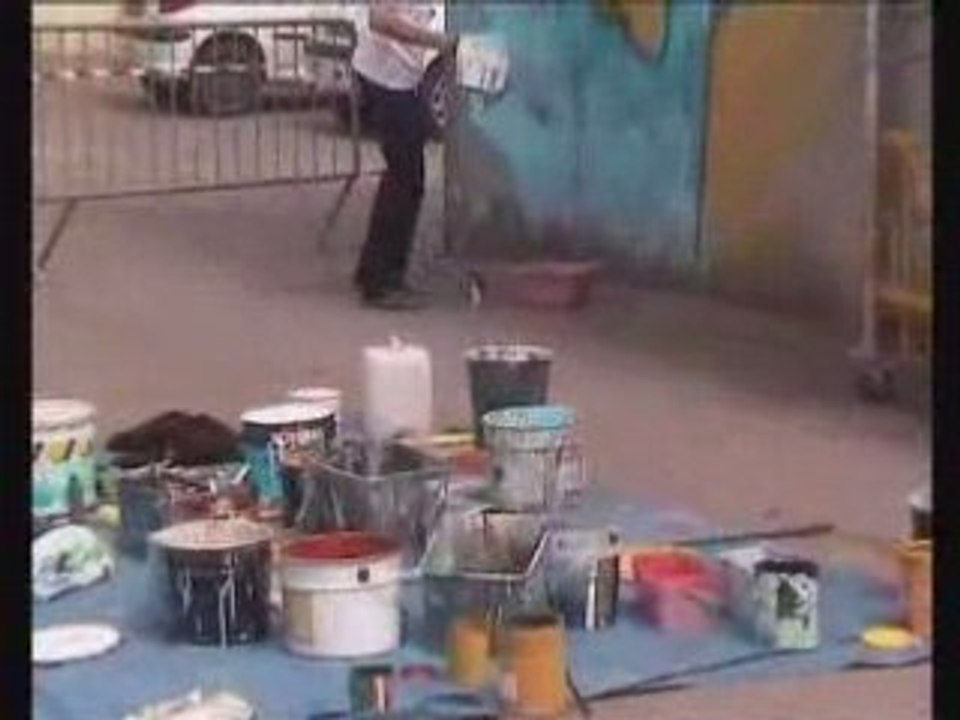 les picturiales 2008.1