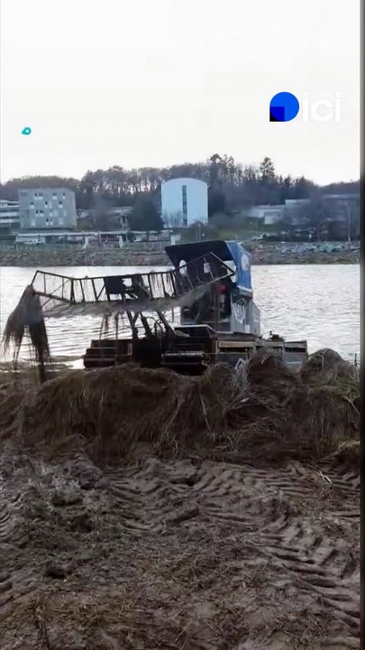 Guéret : plus d'un an après la vidange de l'étang de Courtille, l'eau revient peu à peu