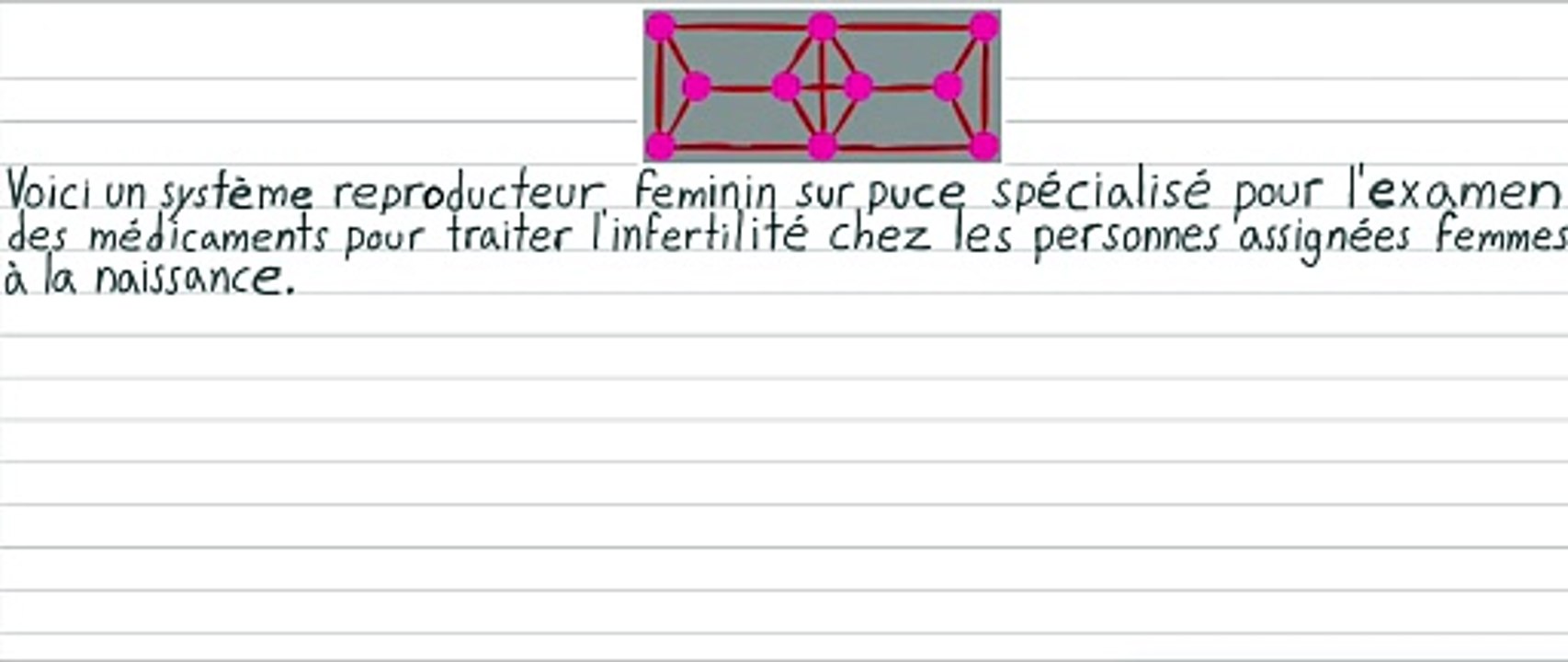 Organe sur puce pour tester les médicaments d’infertilité féminin