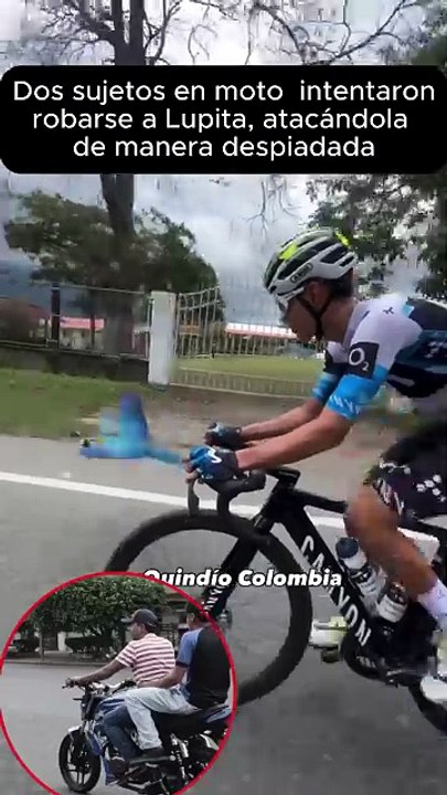 Denunciaron intento de robo y brutal ataque contra 'Lupita', la guacamaya que acompaña a los ciclistas en Quindío