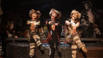 Il musical dei record torna a incantare l’Italia: «Cats» al TAM Teatro Arcimboldi di Milano