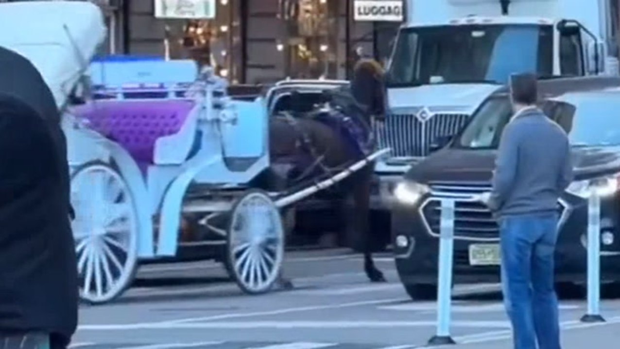 Runaway New York carriage horse almost tramples pedestrians in Manhattan rampage