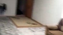 led trake.zadovoljni klijenti