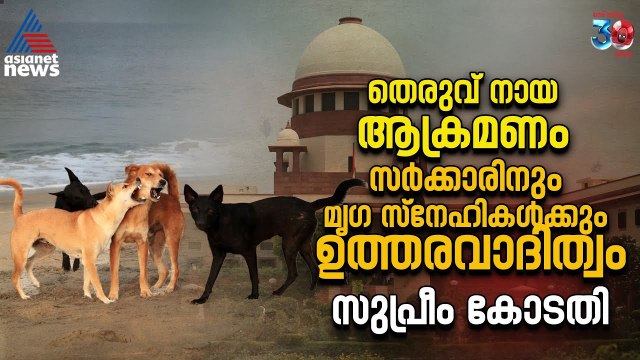 സംസ്ഥാനങ്ങളിൽ നിന്ന് തന്നെ വലിയ തുക നഷ്ടപരിഹാരം ഈടാക്കും; തെരുവ് നായ വിഷയത്തിൽ സുപ്രീം കോടതി