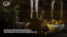 Setor de azeite brasileiro está incomodado com acordo Mercosul-UE