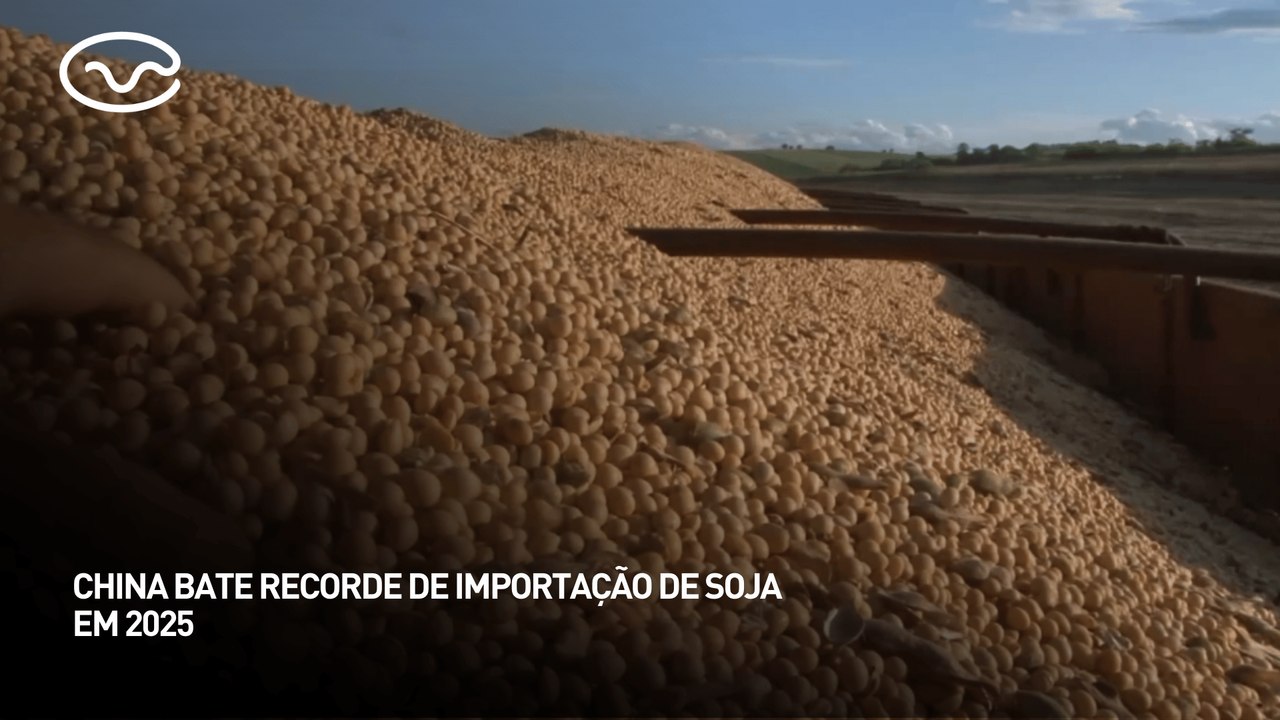 China bate recorde de importação de soja em 2025