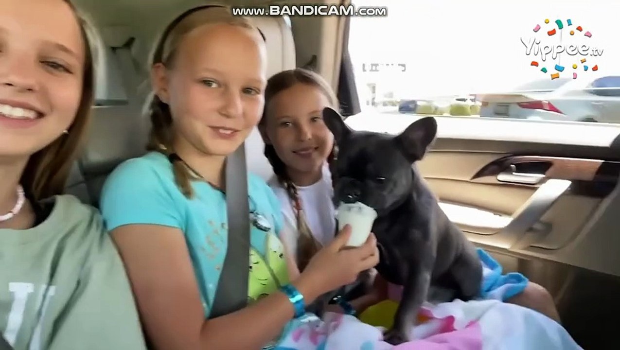 The Life of Riley Episode 11 - Taking Care of Gnarly the Dog