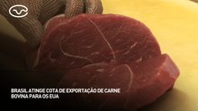 Brasil atinge cota de exportação de carne bovina para os EUA