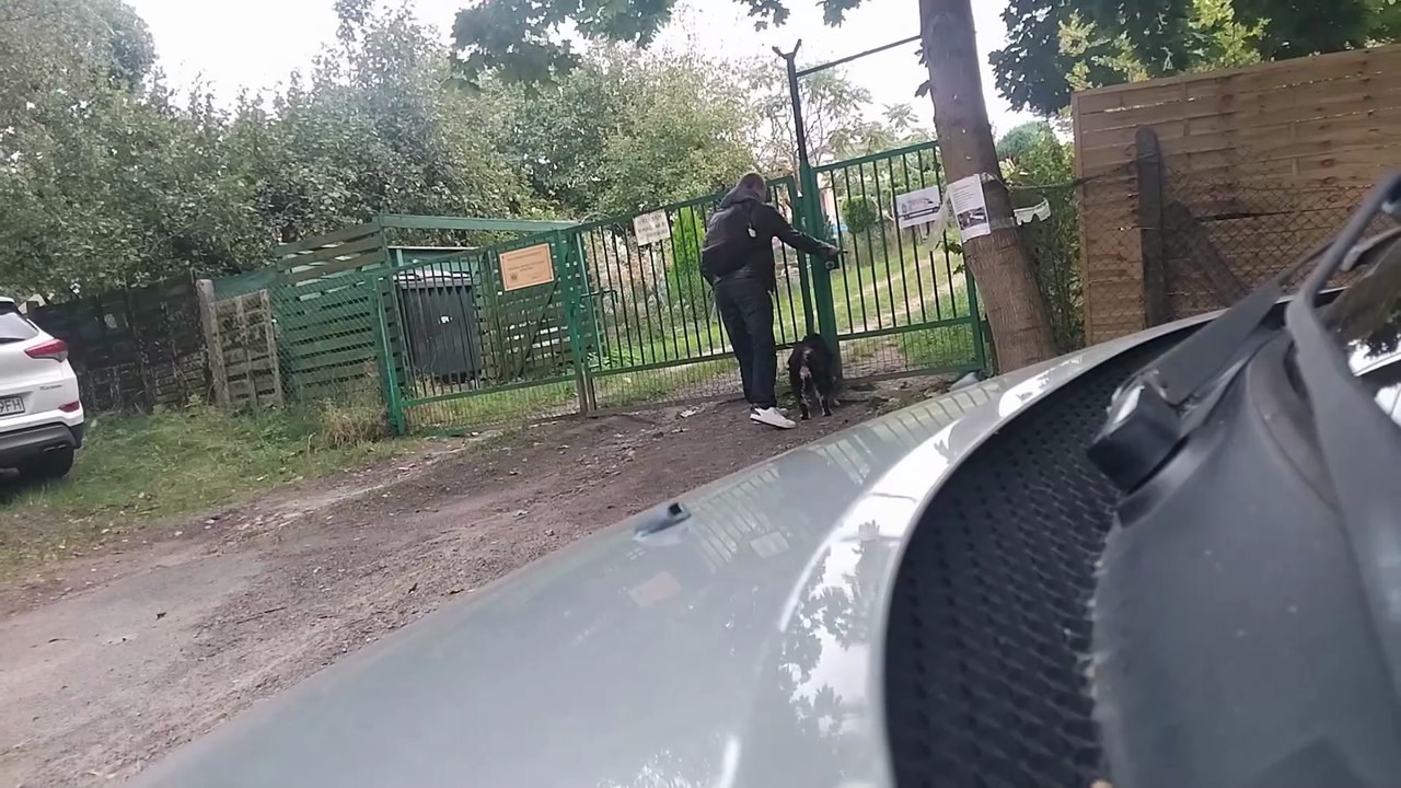 6 FILM NISKOBUDŻETOWY JESIEŃ