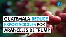 Guatemala reduce exportaciones de café 8.6% por aranceles de Trump