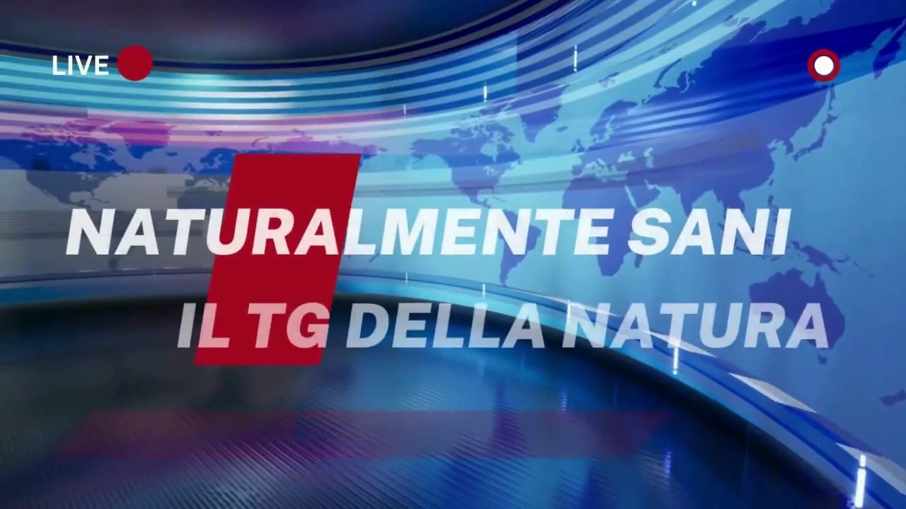 Turismo dentale: conviene davvero? La verità, senza pregiudizi
