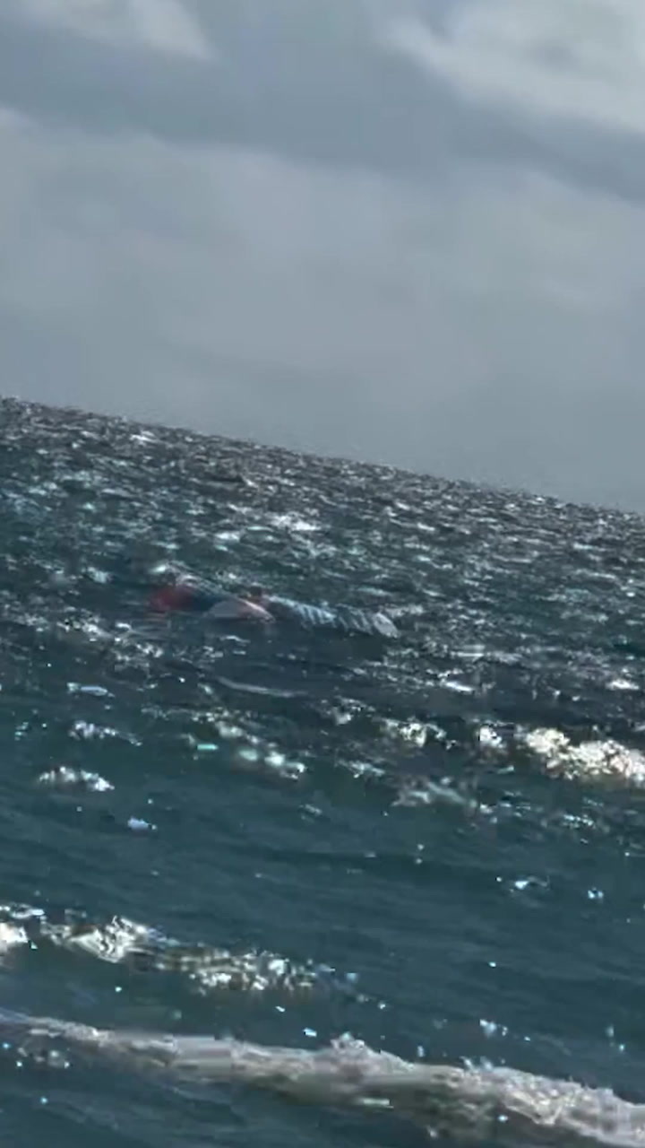 Florida paraglider survives terrifying 500-foot plunge