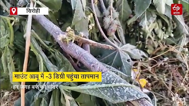माउंट आबू में सर्दी का थर्ड डिग्री टॉर्चर, पारा -3 डिग्री पर पहुंचा