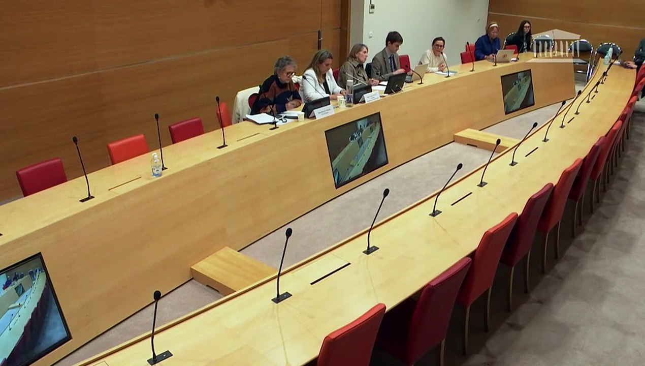 Délégation aux droits des enfants : Situation de la protection de l’enfance à La Réunion ; Mme Charlotte Parmentier Lecoq, ministre déléguée chargée de l’autonomie et des personnes handicapées - Mercredi 14 janvier 2026