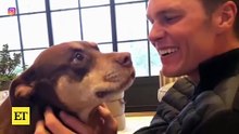 Tom Brady Dishes on Getting His Family Dog CLONED (Exclusive)