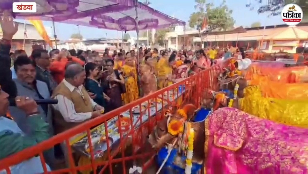 मकर संक्रांति पर्व... गणेश गोशाला में गो-पूजन, गो-ग्रास के साथ हुआ हल्दी-कुमकुम