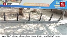 भोपाल स्मार्ट सिटी साइकिल योजना में जंग, कई जगहों पर केवल स्टैंड बचे, साइकिलें गायब