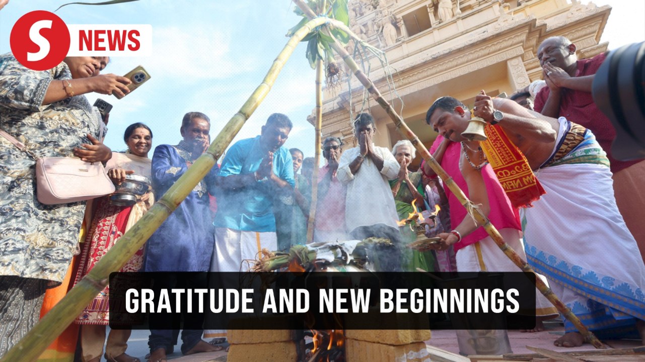 Harvest festival Ponggal celebrated nationwide