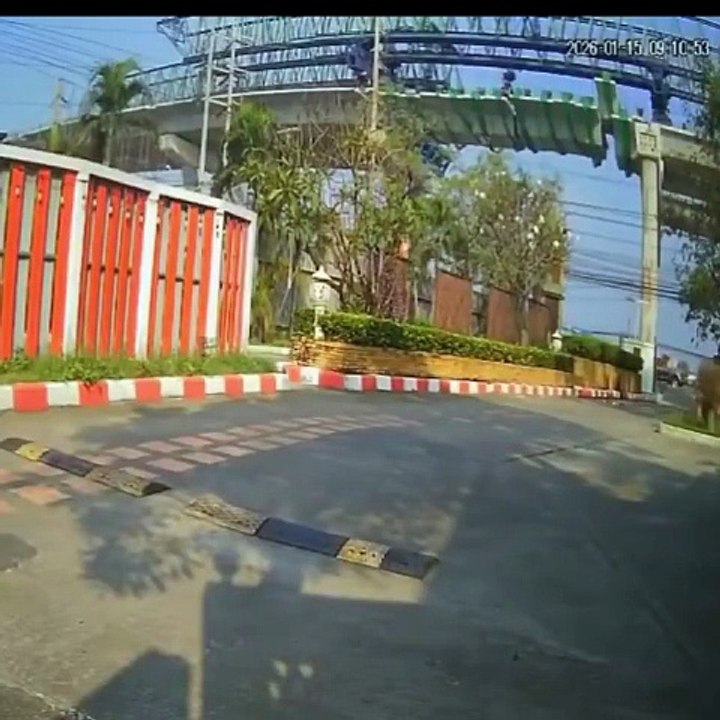queda de guindaste
