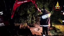 Firefighters use excavator to rescue trapped puppies