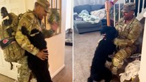 Dog Bounces With Excitement When Soldier Dad Comes Home