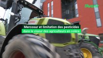 Namur : manifestation des agriculteurs