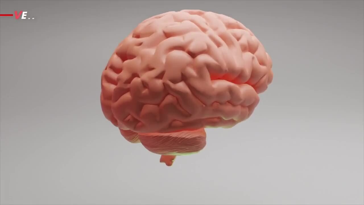 How the Structure of Your Brain Shapes the Way You Think and Act