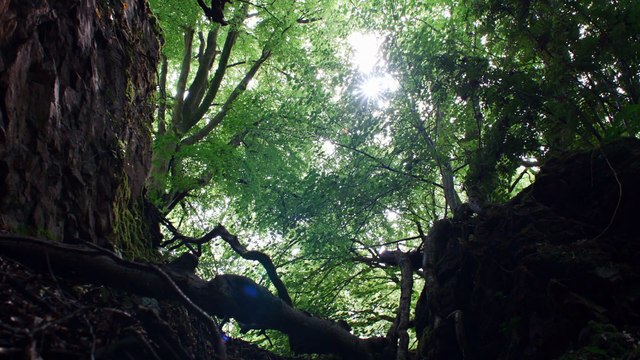 Hamnet: A Vida Antes de Hamlet | Trailer Legendado