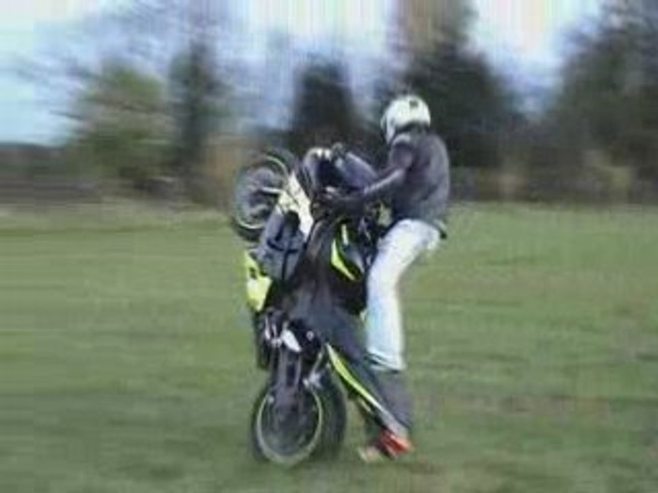 Video Stunt in the grass - stunt, herbe,