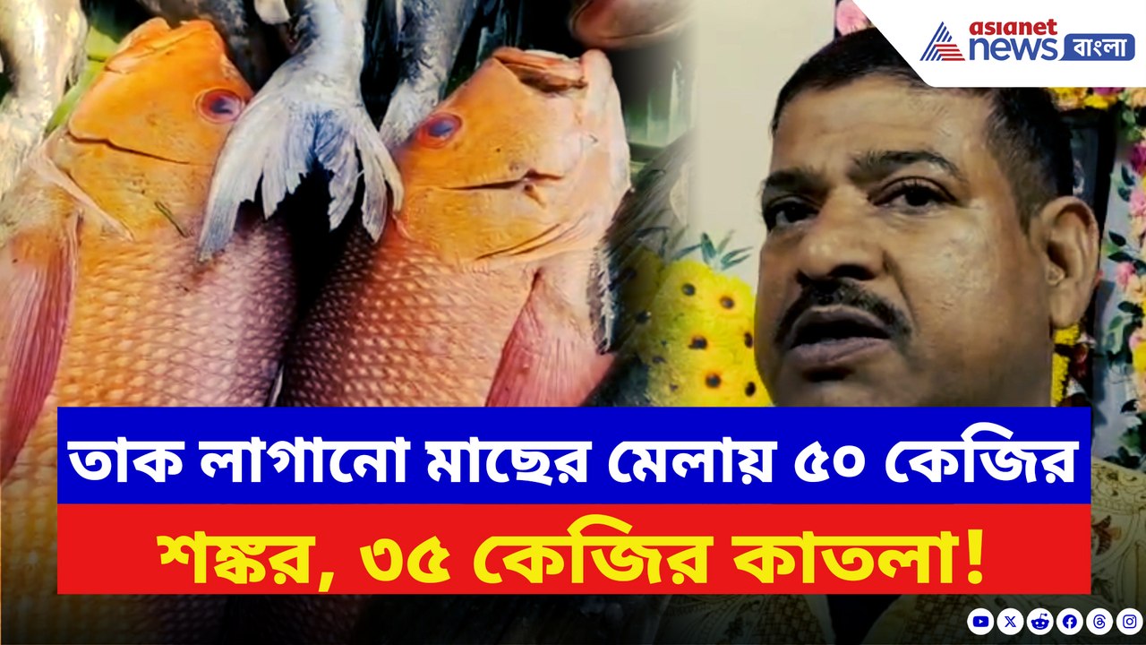 কেষ্টপুরে ৪০ কেজির ভোলা, ৩৫ কেজির কাতলা! দেখুন ৫১৯ বছরের পুরনো মাছের মেলা