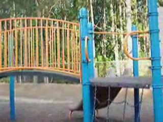 Discover How We Earned $16K This Month with Cruise to Cash 🚢