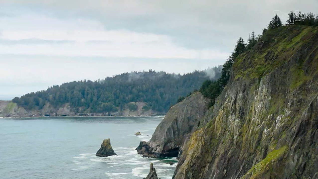 Skeletal Remains Found on Beach Identified as Former Mayor Who Vanished 20 Years Ago and Was Declared Legally Dead