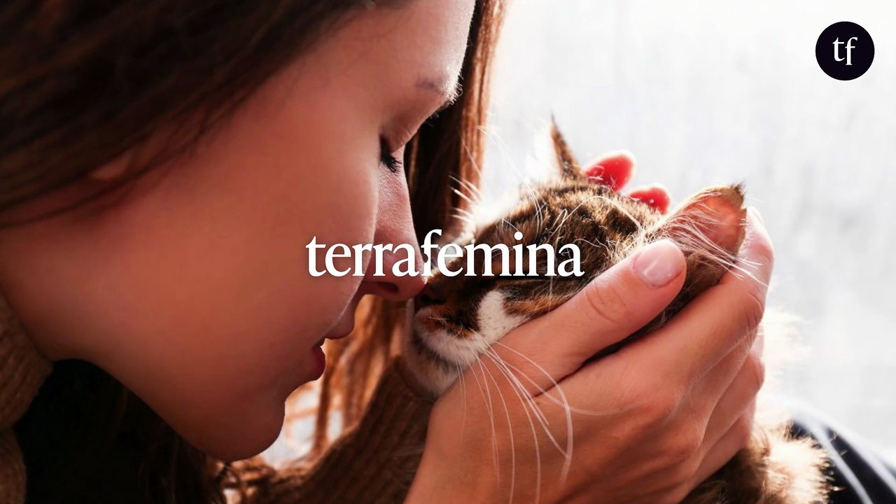 "Les chats ne tuent pas les meufs, eux !" : voilà pourquoi les femmes préfèrent les chats aux hommes (et se fichent de finir seules)