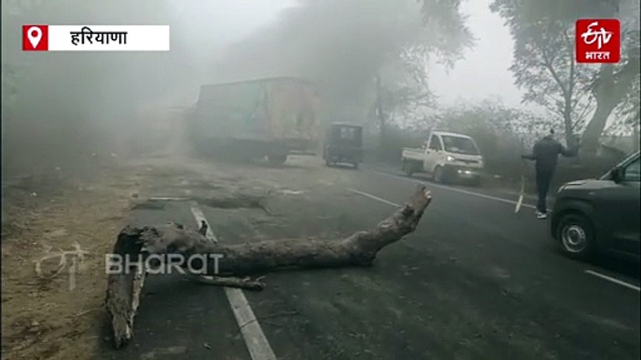 हरियाणा की धुंध में सड़क पर घूम रहे "यमराज"!, भिवानी में 4 गाड़ियां भिड़ी, रेवाड़ी में ट्रक ने यूपी के रेहड़ी वाले को कुचला
