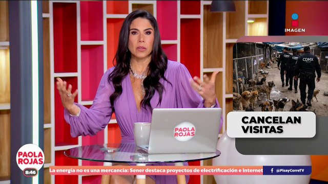 Continúa polémica por desalojo de perros en refugio Franciscano | DPC con Paola Rojas