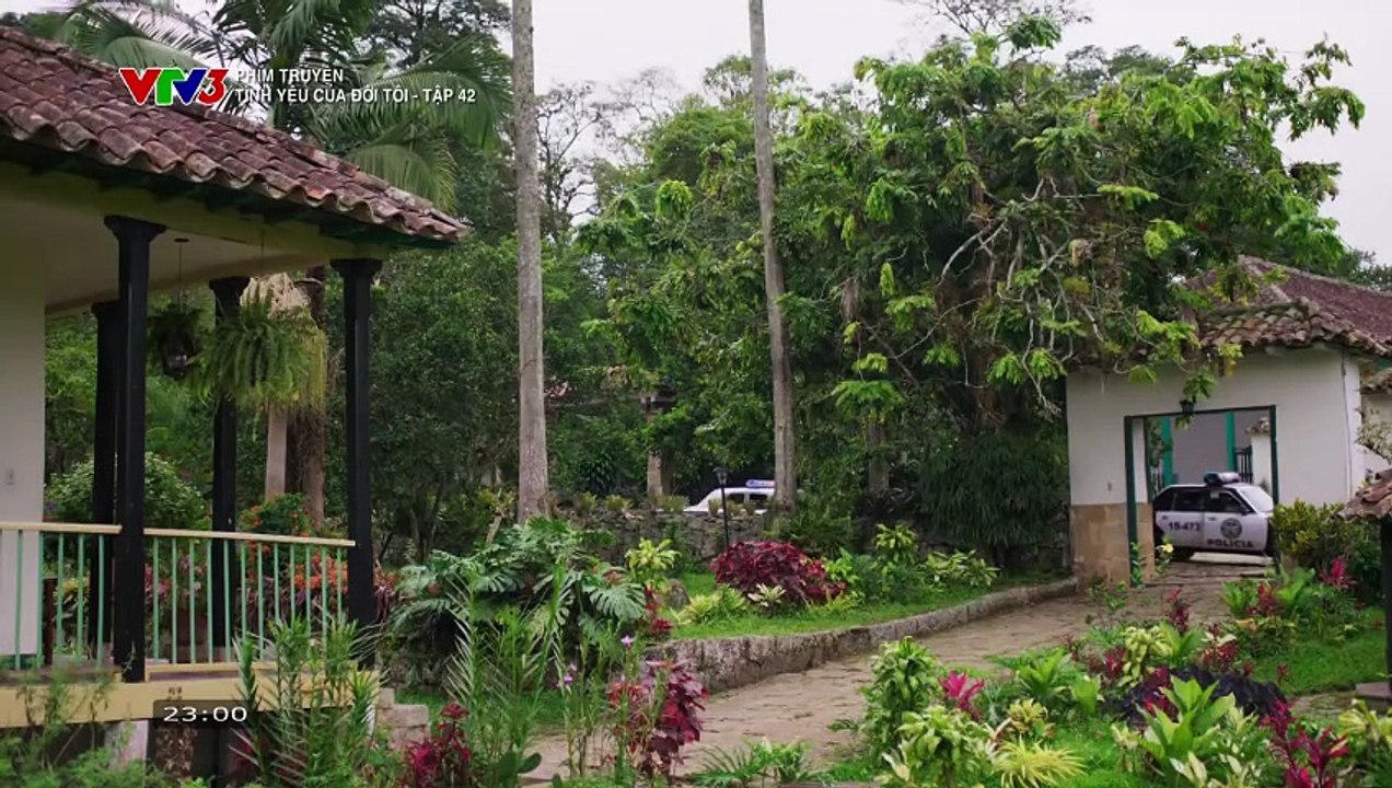 TÌNH YÊU CỦA ĐỜI TÔI - TẬP 42 - VTV3 THUYẾT MINH - PHIM COLOMBIA - TINH YEU CUA DOI TOI