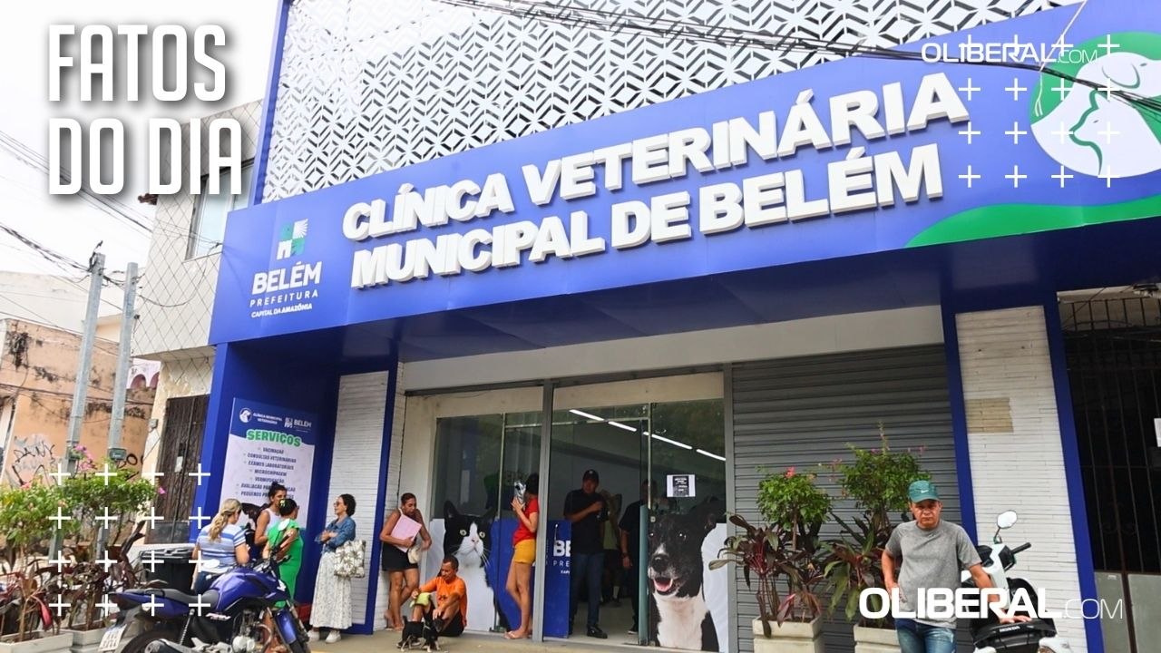 Veja como funcionam os serviços para cães e gatos na nova Clínica Veterinária pública de Belém